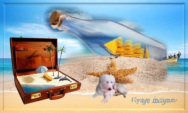 Voyage incognito par Mitsy